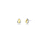 Moonlit Teardrop Earrings