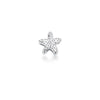 Ocean Star Pendant